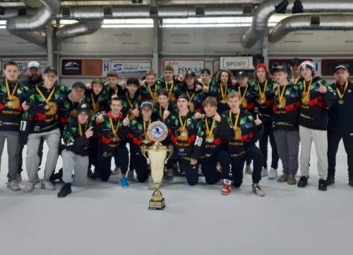 Jak zostać mistrzem, czyli 15-lecie Tyskich Lwów