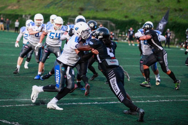 Falcons zagrają w CEFL!