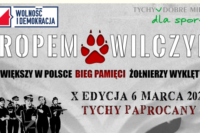 Tropem Wilczym – odbiór pakietów